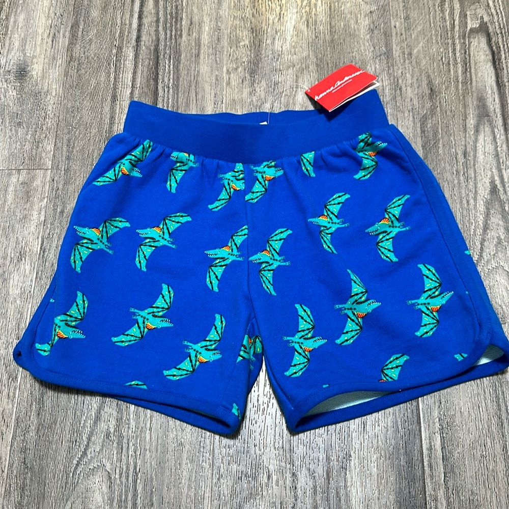 hanna Andersson Adventures Of Summer Shorts boys size 10